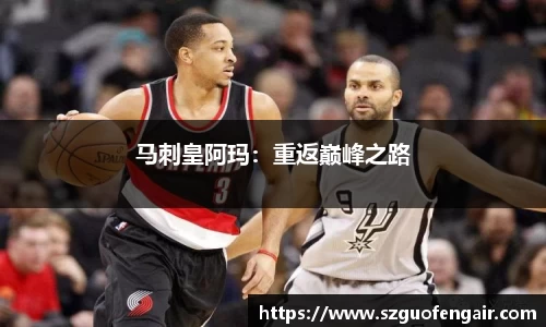 星空.综合体育官网