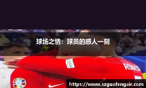 星空.综合体育(中国)官方网站